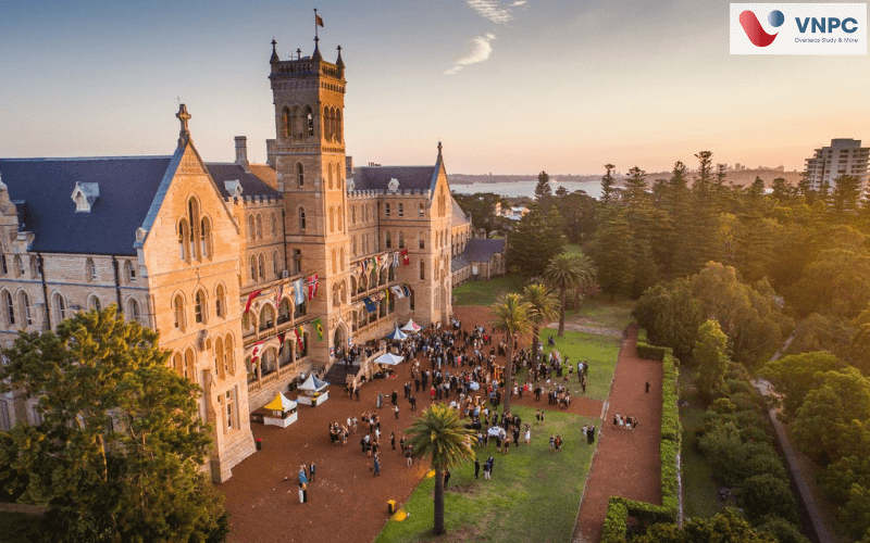 các trường 77King 78 trò chơi hấp dẫn ở Sydney